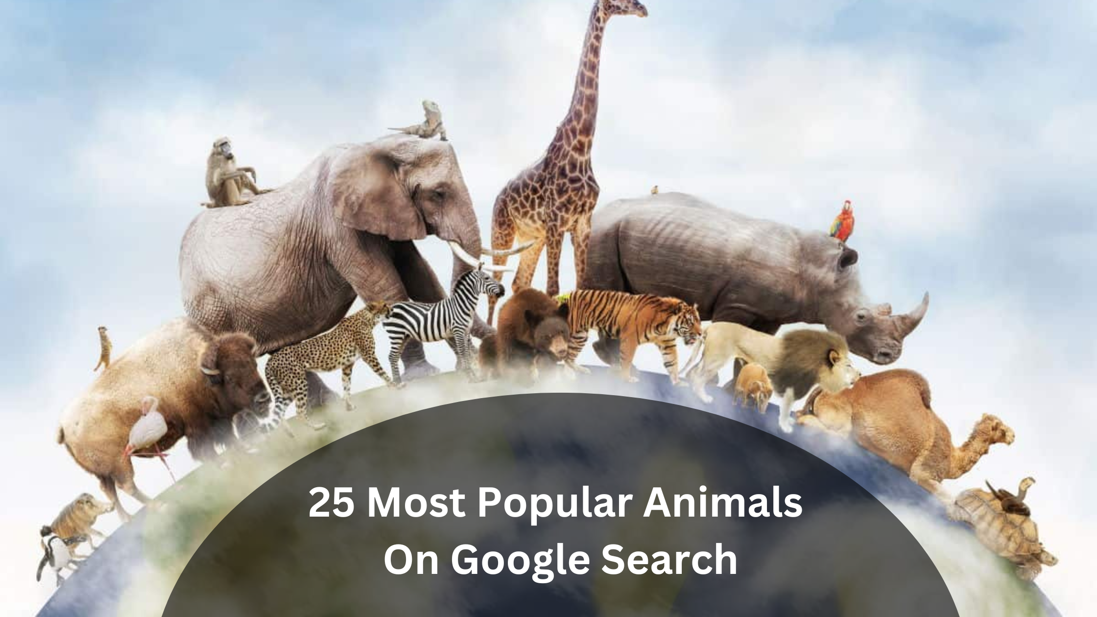 25 Most Popular Animals On Google Search